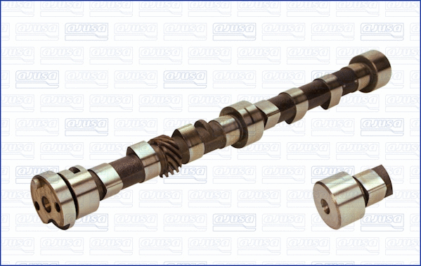 Camshaft (WG1171190)