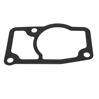 Seal, thermostat (WG2196045)