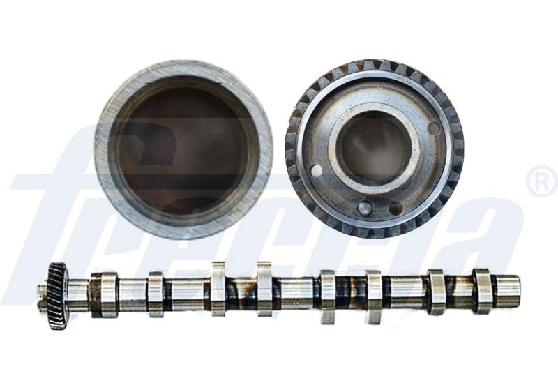 Camshaft (WG1155356)