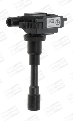 Ignition Coil (WG2009178)