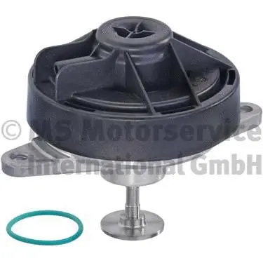 EGR Valve (WG1026972)