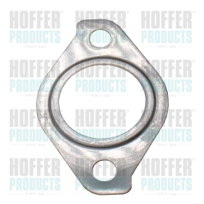 Gasket, EGR valve (WG2262111)