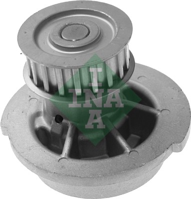 Water Pump, engine cooling (WG1254318)