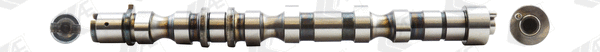Camshaft (WG1462598)