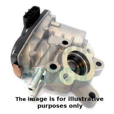 EGR Valve (WG1899180)