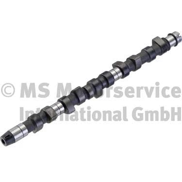 Camshaft (WG1017571)