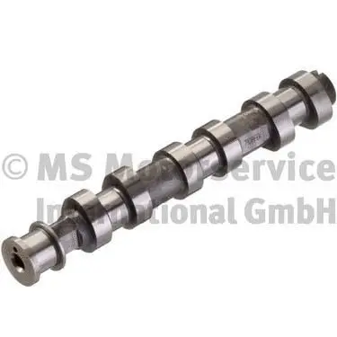 Camshaft (WG1380621)