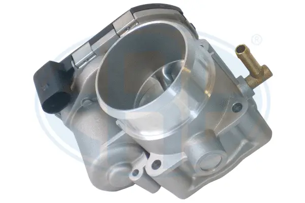 Throttle Body (WG1796579)