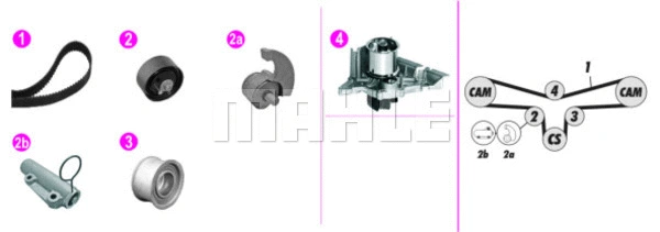 Water Pump & Timing Belt Kit (WG2182135)
