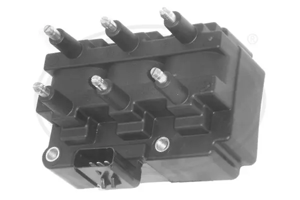 Ignition Coil (WG1496939)