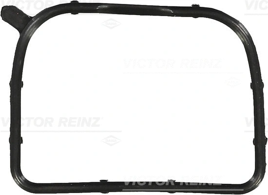Gasket, intake manifold (WG1246156)