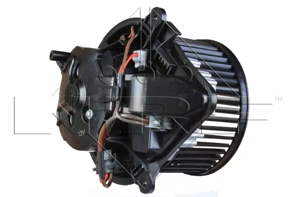 Interior Blower