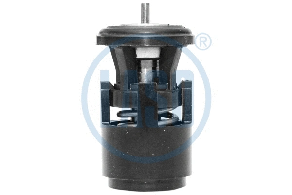Thermostat, coolant (WG1804534)