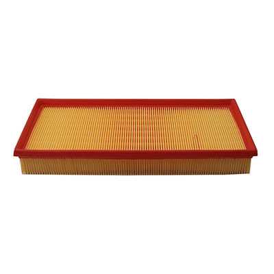 Air Filter (WG2152058)