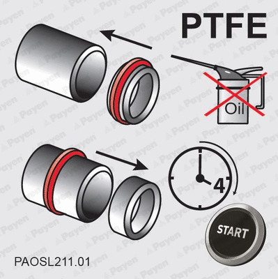 Shaft Seal, crankshaft (WG1177344)