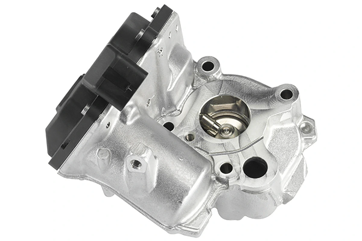 EGR Valve (WG1032679)