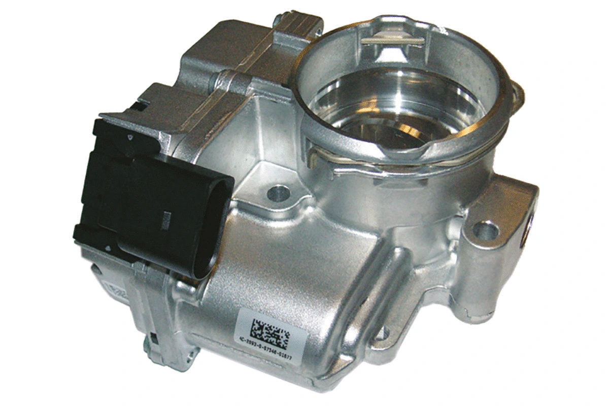 Throttle Body (WG1032873)
