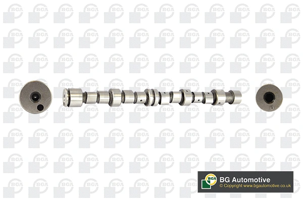 Camshaft (WG1490431)