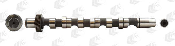 Camshaft (WG1171922)