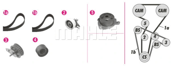 Water Pump & Timing Belt Kit (WG2182111)