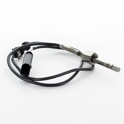 Sensor, exhaust gas temperature (WG1902466)