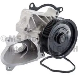 Water Pump, engine cooling (WG2136332)
