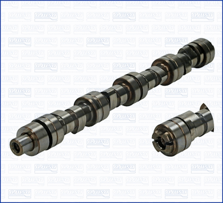 Camshaft (WG1170761)