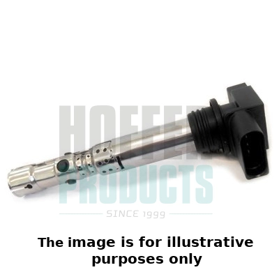 Ignition Coil (WG1902063)