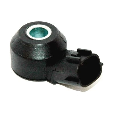 Knock Sensor (WG1013840)