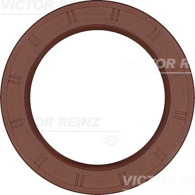 Shaft Seal, crankshaft (WG1103983)