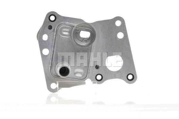 Oil Cooler, engine oil (WG2181097)