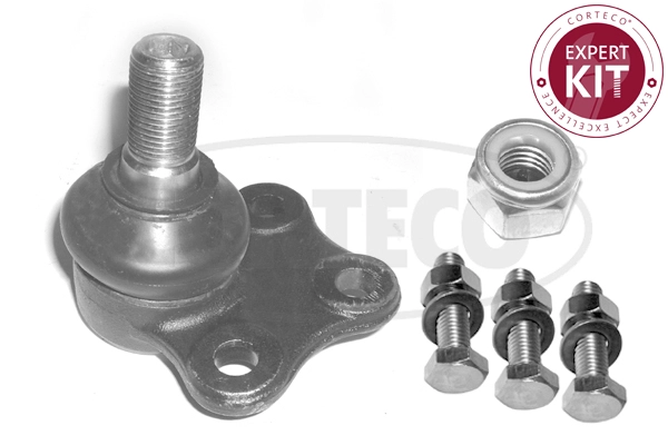 Ball Joint (WG2289929)