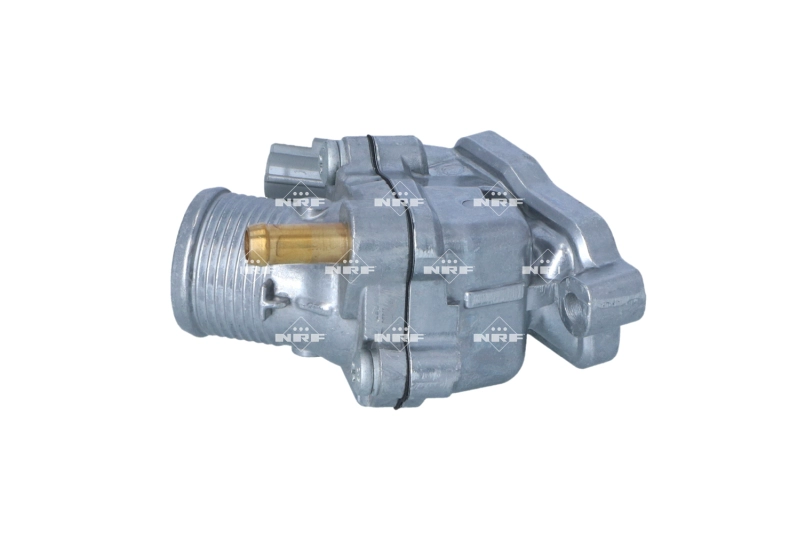 Thermostat, coolant (WG2261167)