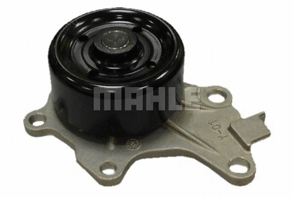 Water Pump, engine cooling (WG2181988)