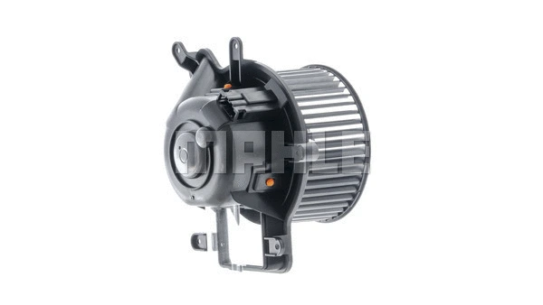 Interior Blower