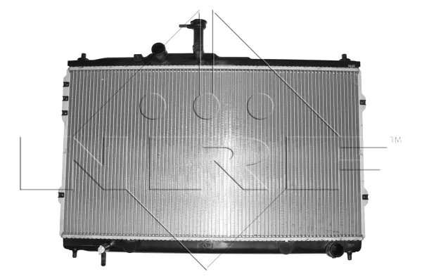 Radiator, engine cooling (WG1723370)