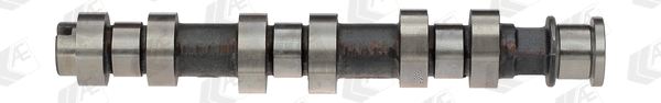 Camshaft (WG1093072)