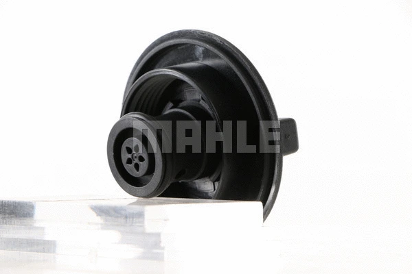 Cap, coolant tank