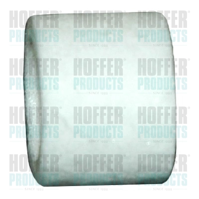 Fuel Filter (WG1748169)