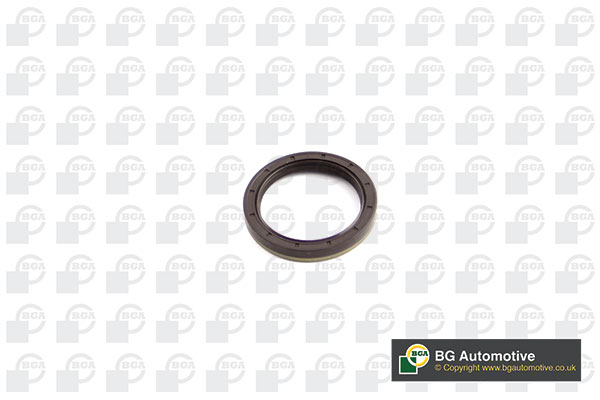 Shaft Seal, differential (WG1985287)