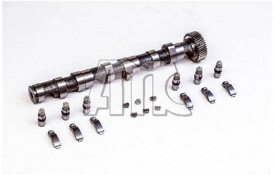 Camshaft Kit (WG2010551)
