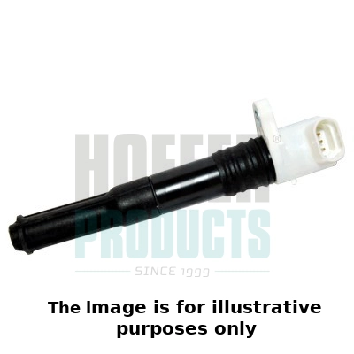 Ignition Coil (WG2099668)