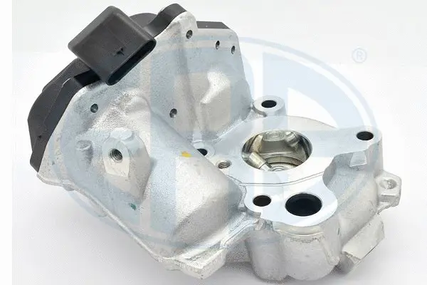 EGR Valve (WG1494799)