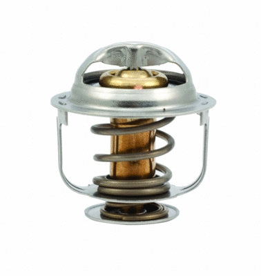 Thermostat, coolant (WG1409219)