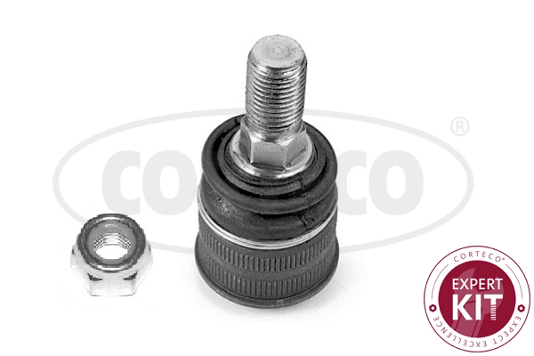Ball Joint (WG2288410)