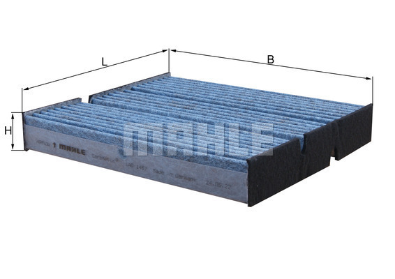 Filter, cabin air (WG2326045)