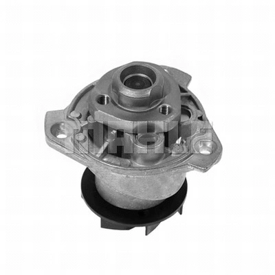 Water Pump, engine cooling (WG2181791)