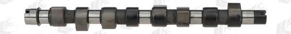 Camshaft (WG1171896)