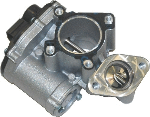 EGR Valve (WG1015268)