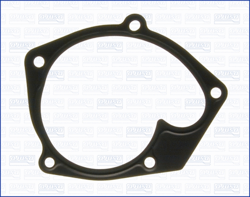Gasket, water pump (WG1751248)